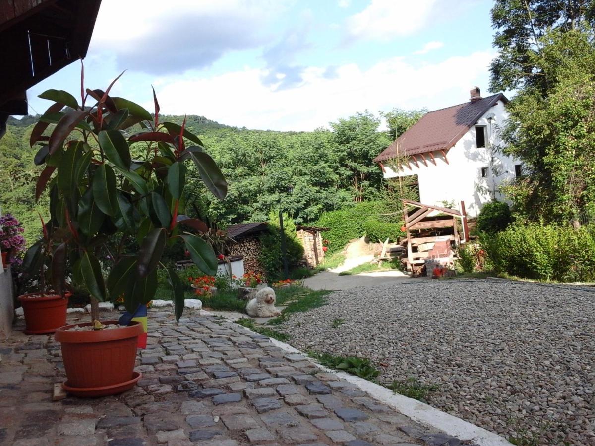 Villa Casa Piscul Lupului Pucioasa Esterno foto